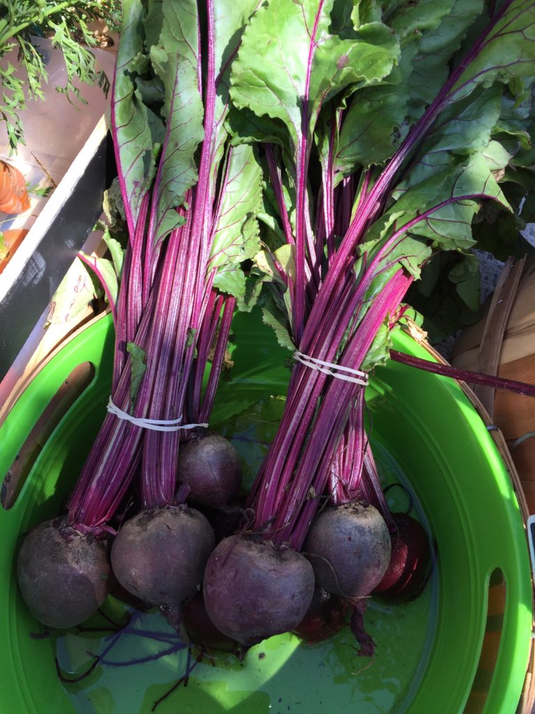 Red Beets from HeartBeet Farms