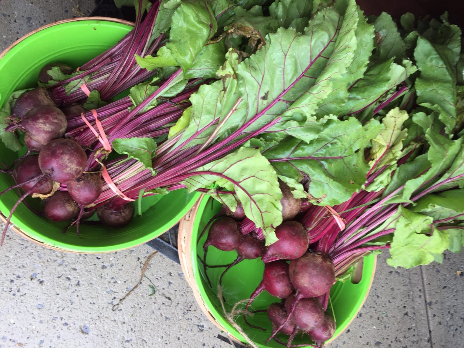 Red Beet Roots