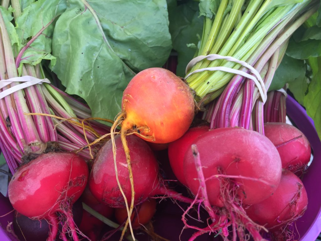 Golden and Striped Beets from HeartBeet Farms 2018