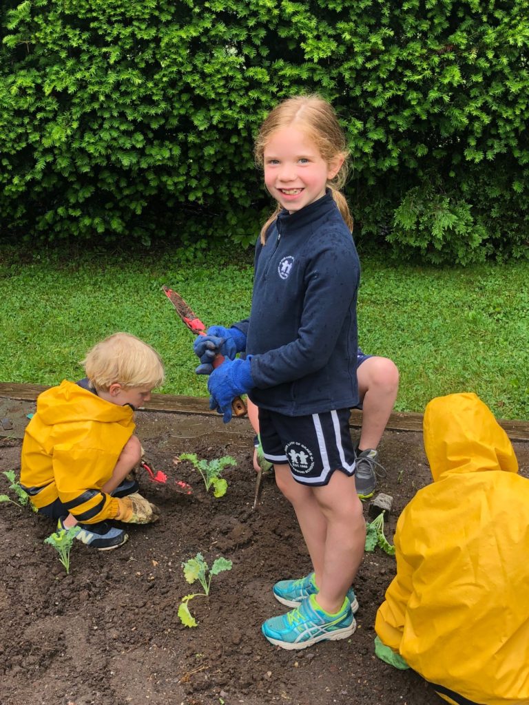 Planting Kale in the School Garden