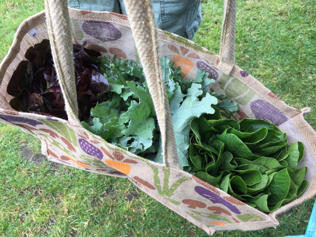 More Greens in a bag