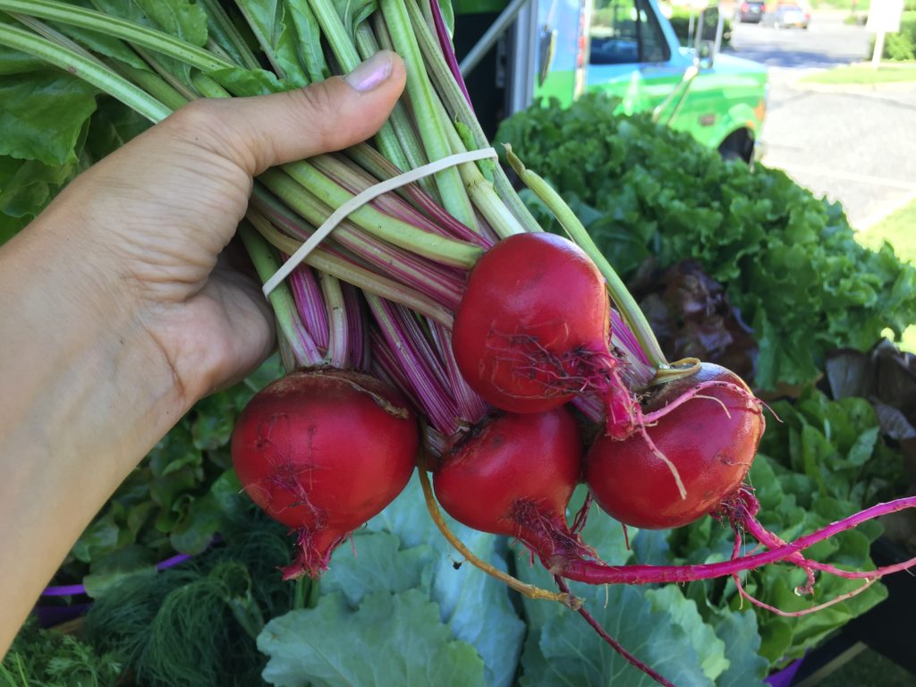 Striped Beets from HeartBeet Farms 2018