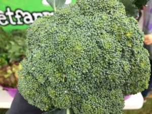 HeartBeet Farms Broccoli High in Vitamins and Minerals