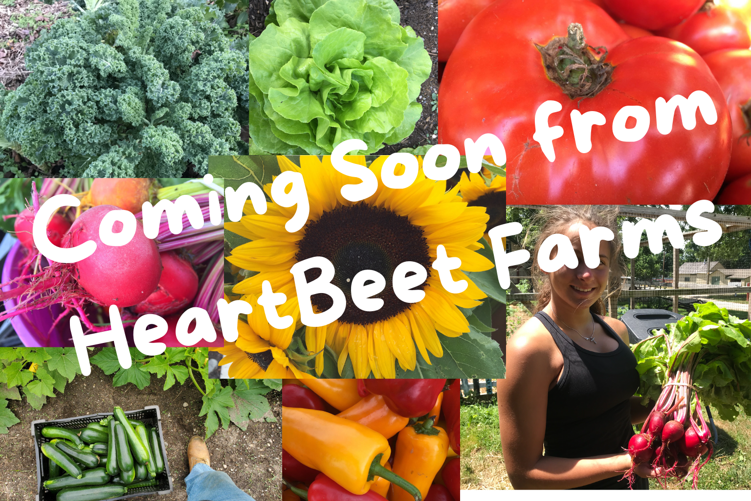 Coming soon from HeartBeet Farms
