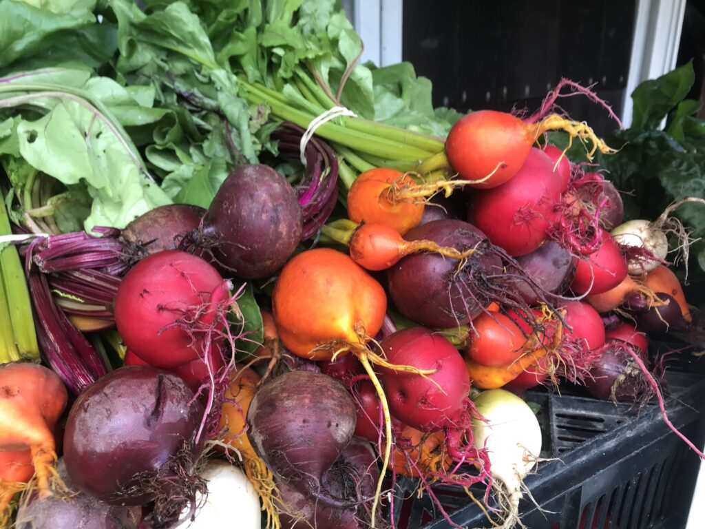 colorful beets including white