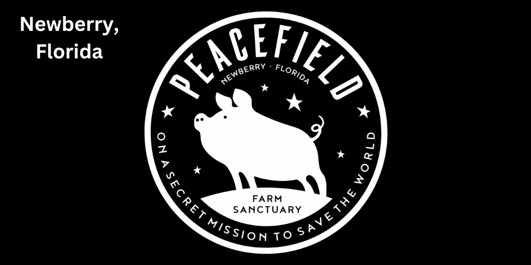 Peacefield Farm Sanctuary, Agritourism Destination in Florida