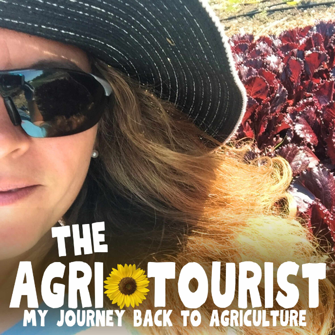 The Agri-Tourist Podcast, My Journey Back to Agriculture